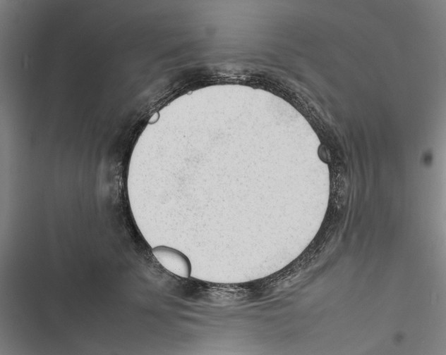 X0000116880707201001191744
