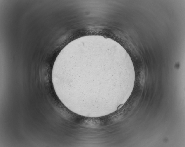 X0000116880712201001191744