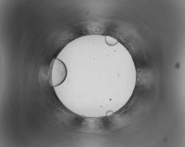 X0000116880713201001191744