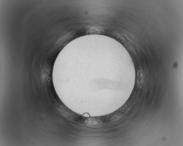 X0000116880714201001191744