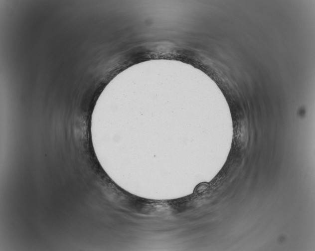 X0000116880715201001191744