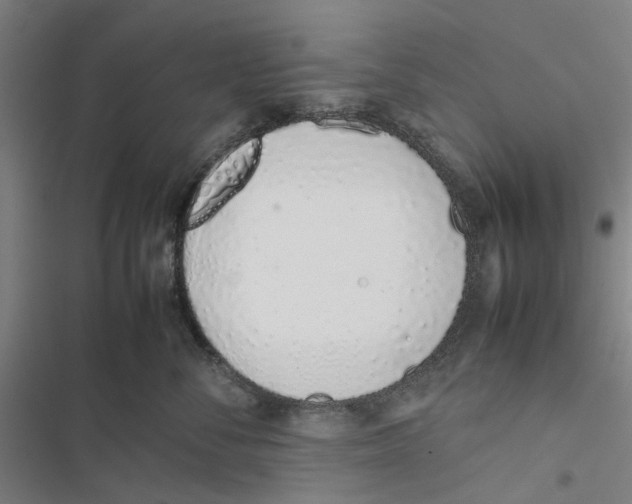 X0000116880716201001191744