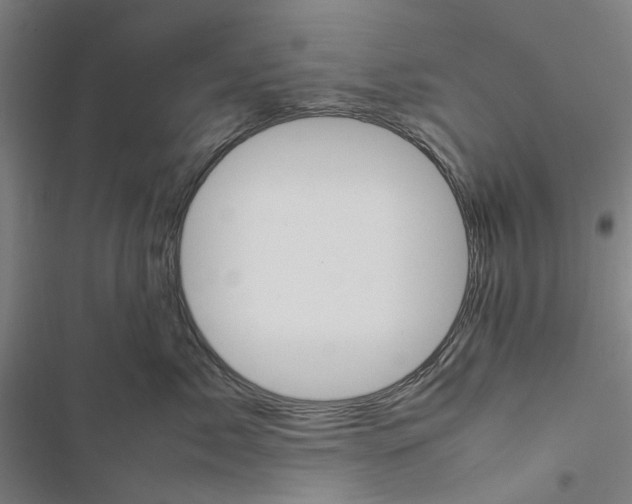 X0000116880717201001191744