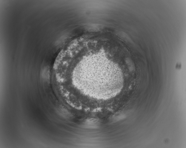 X0000116880720201001191744