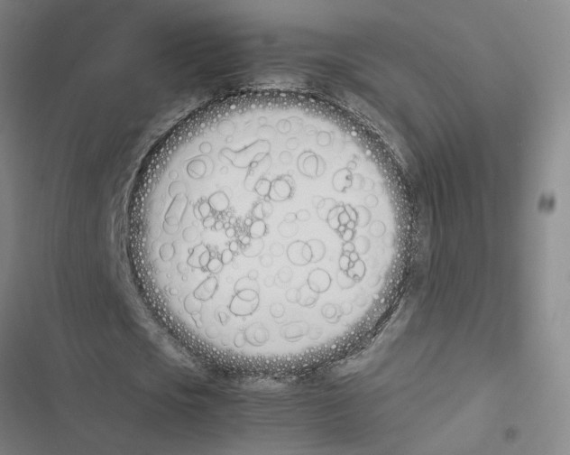 X0000116880721201001191743