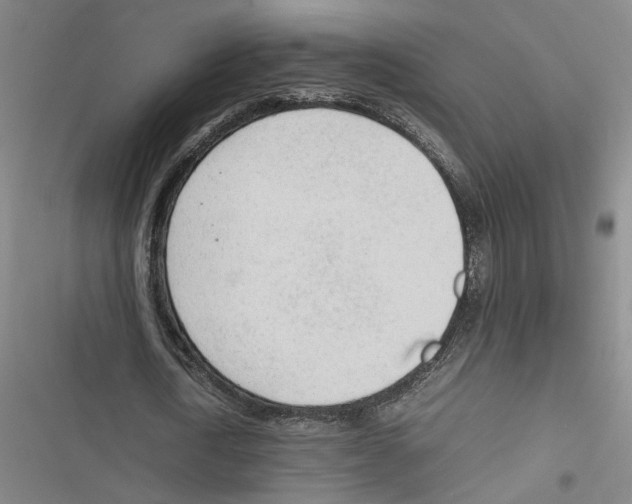 X0000116880722201001191743