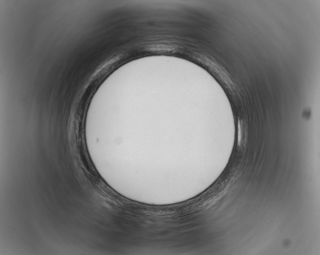 X0000116880723201001191743