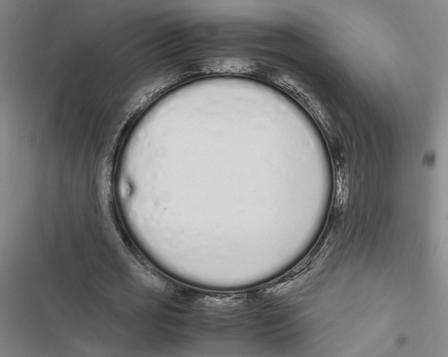 X0000116880725201001191743