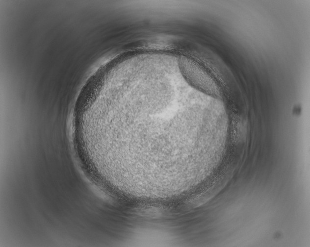 X0000116880726201001191743