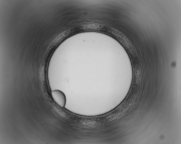 X0000116880729201001191743