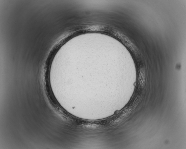 X0000116880730201001191743