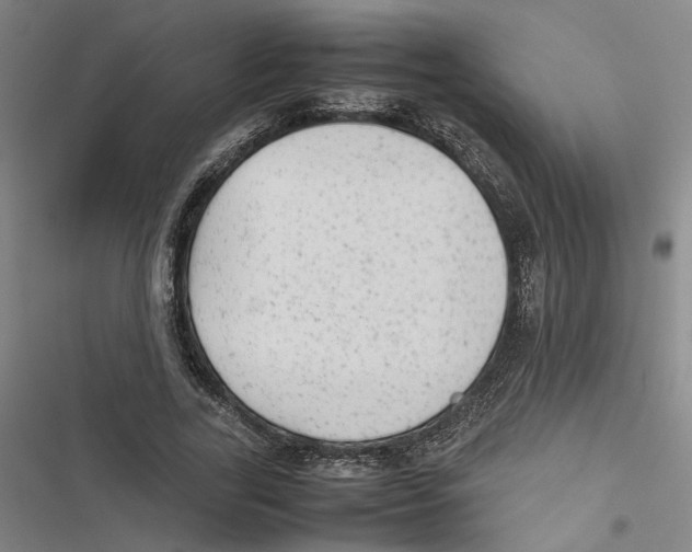 X0000116880731201001191743