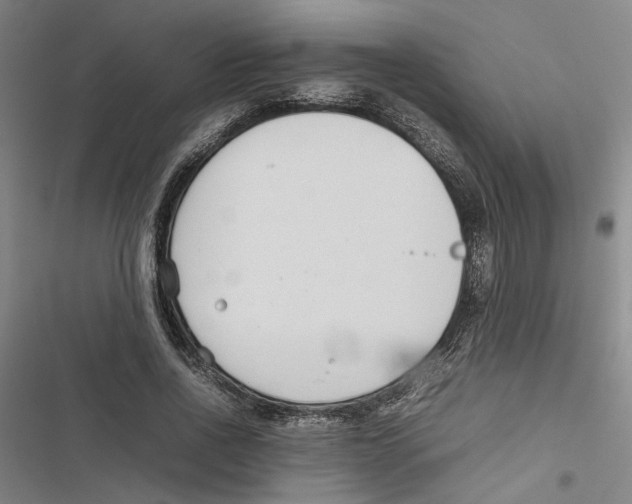 X0000116880734201001191743