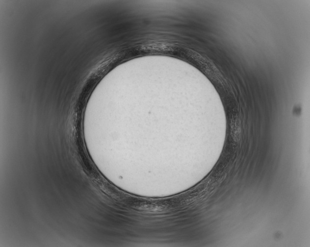 X0000116880735201001191743