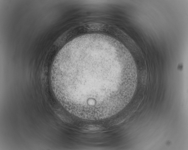 X0000116880737201001191743