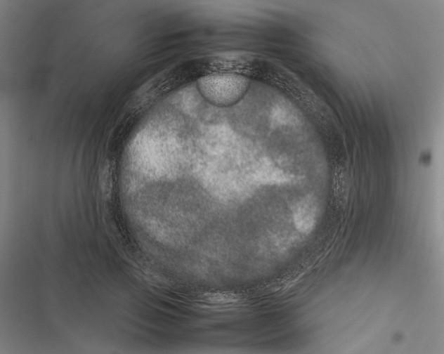 X0000116880741201001191743