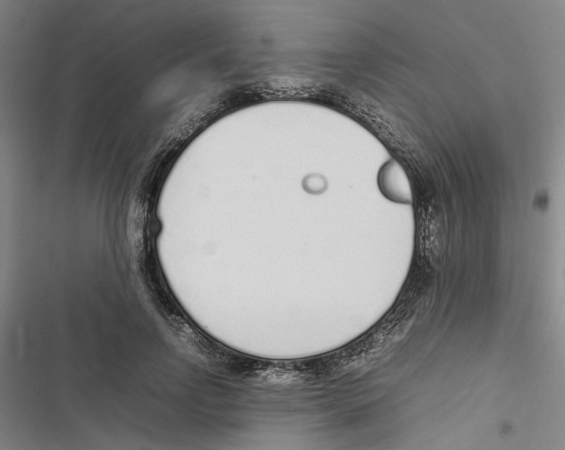 X0000116880742201001191743