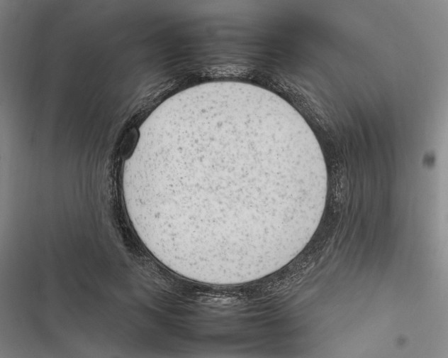 X0000116880743201001191743
