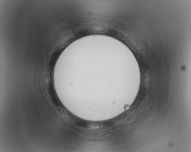 X0000116880746201001191743