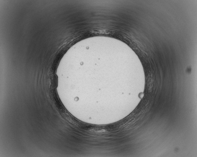 X0000116880747201001191743