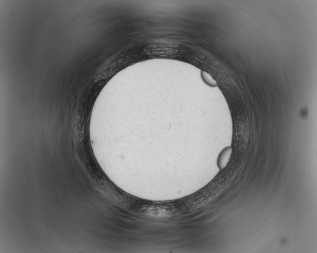 X0000116880751201001191743