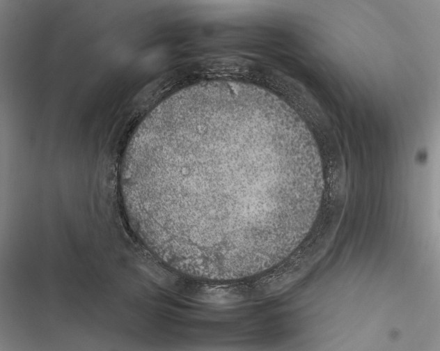 X0000116880753201001191743