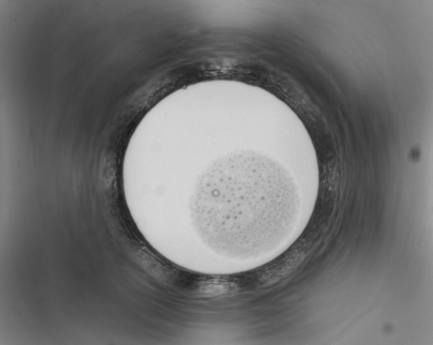 X0000116880754201001191743