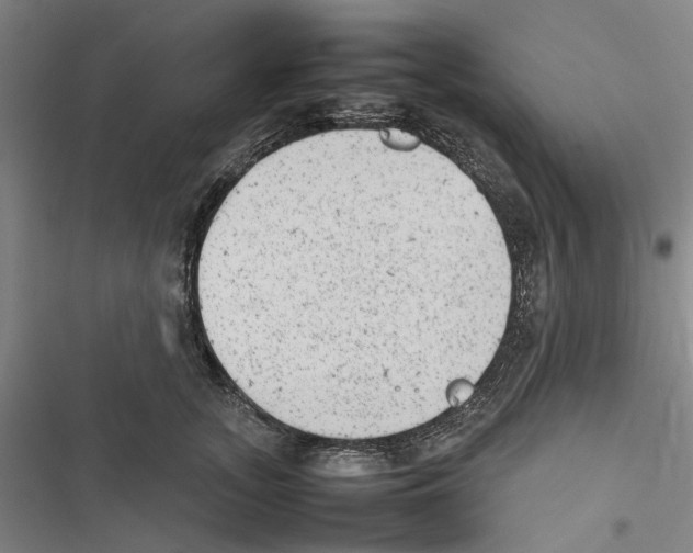 X0000116880755201001191743
