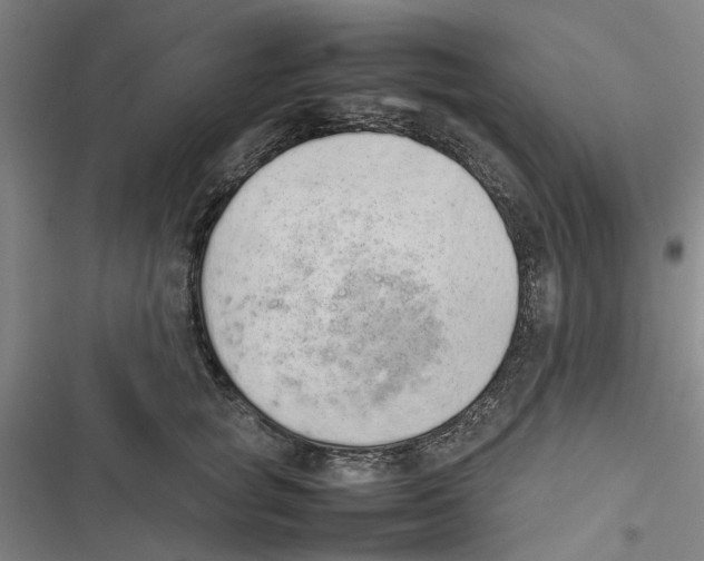 X0000116880757201001191744