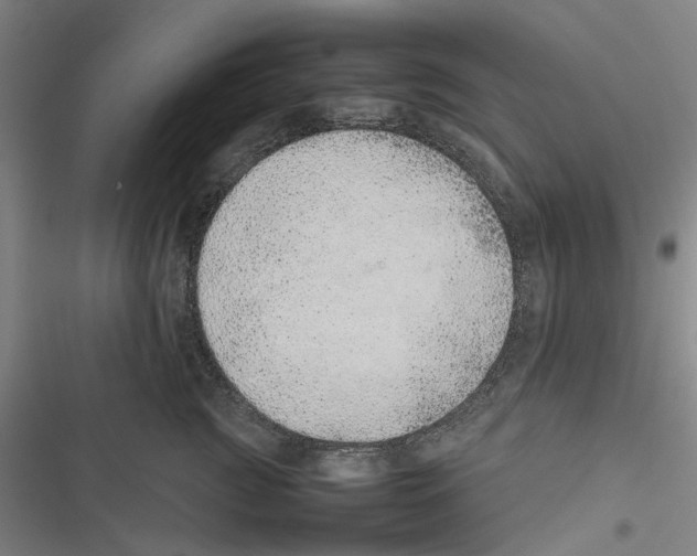 X0000116880761201001191744