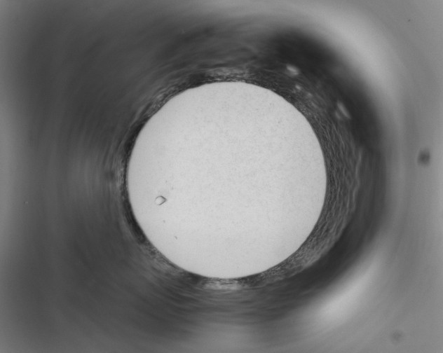 X0000116880767201001191744
