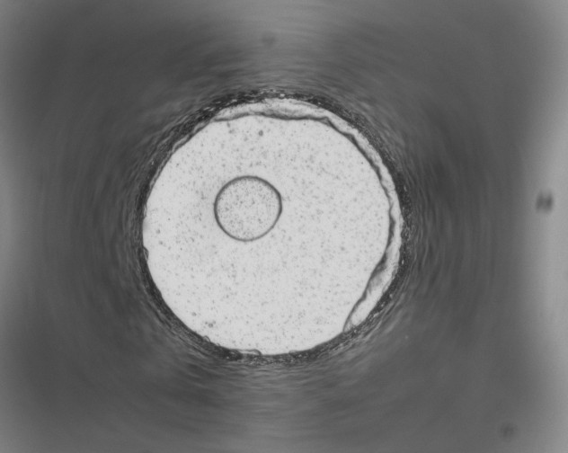 X0000116880769201001191743
