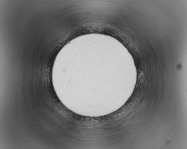 X0000116880772201001191743