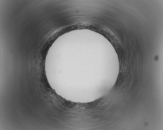 X0000116880773201001191743