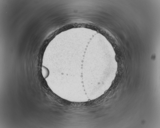 X0000116880775201001191743
