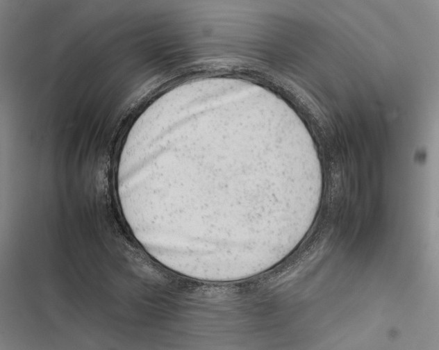 X0000116880778201001191743