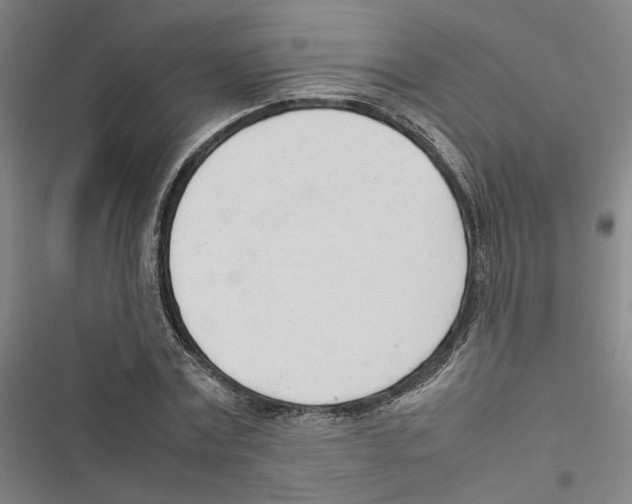 X0000116880779201001191743