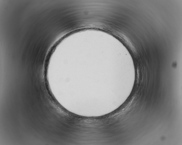 X0000116880780201001191743