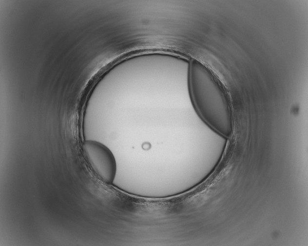 X0000116880781201001191743