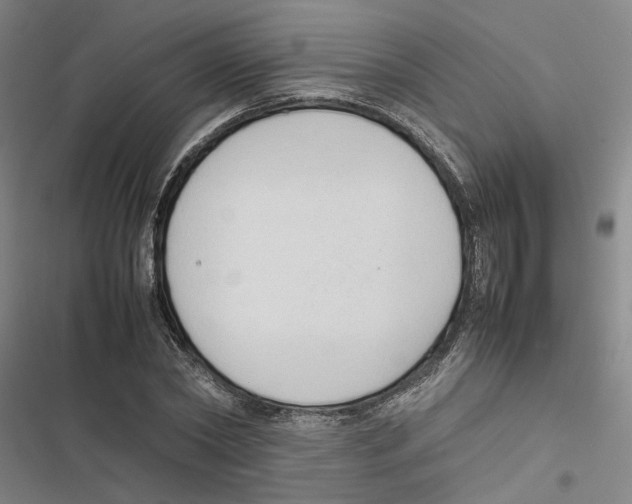 X0000116880782201001191743