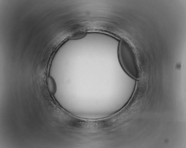 X0000116880785201001191743