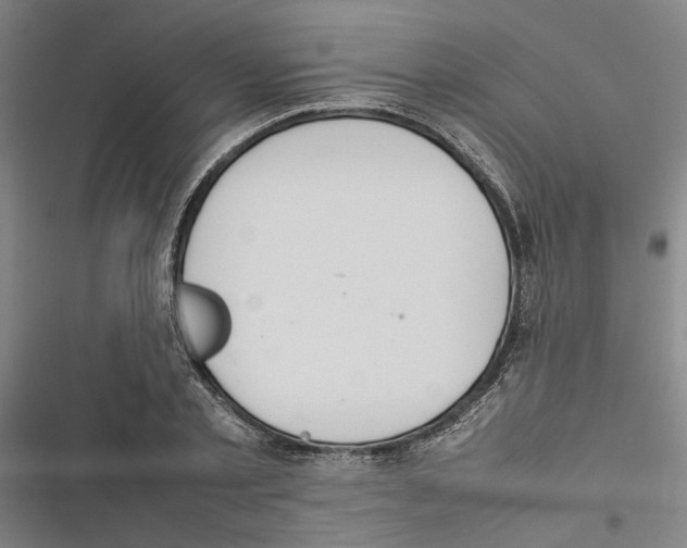 X0000116880789201001191743