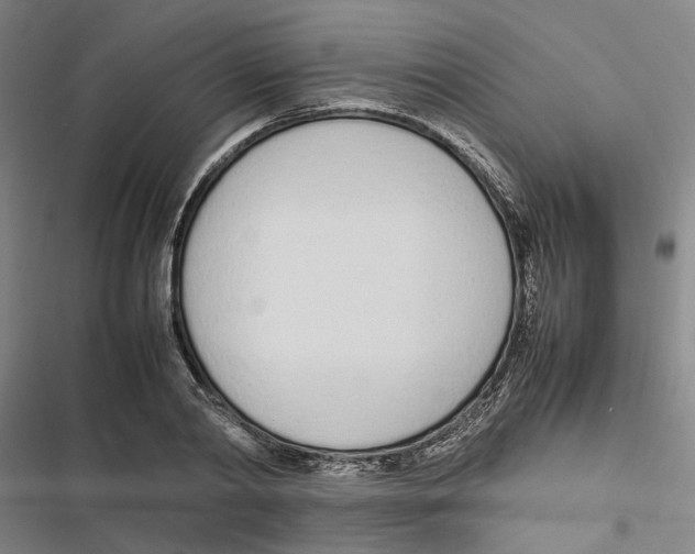 X0000116880790201001191743