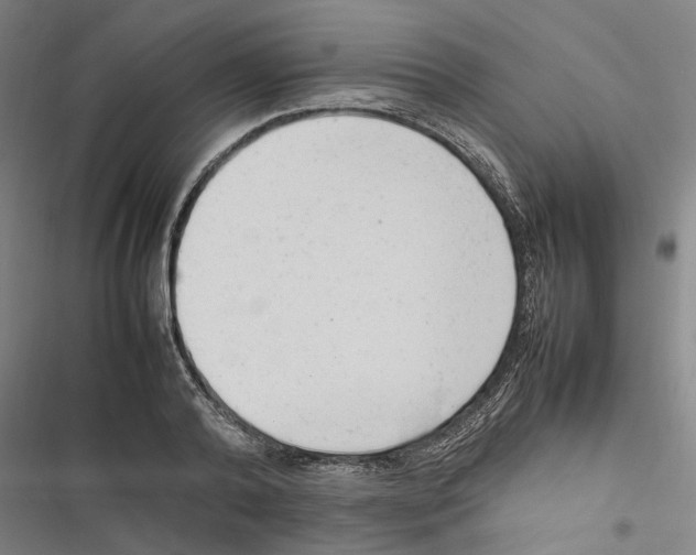 X0000116880792201001191743