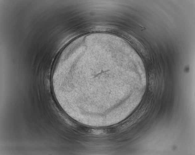 X0000116880794201001191743
