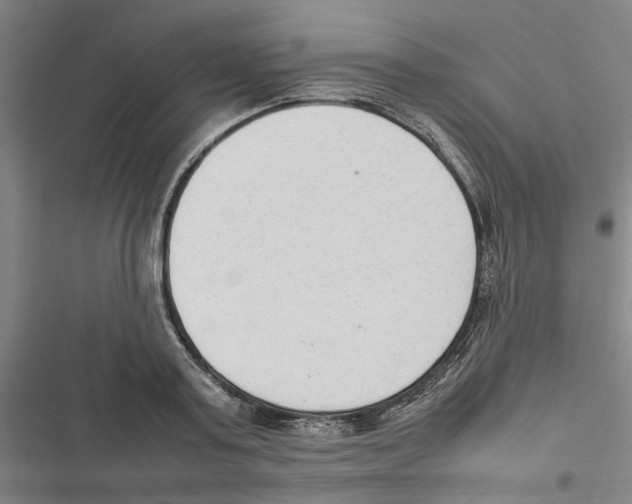 X0000116880795201001191743
