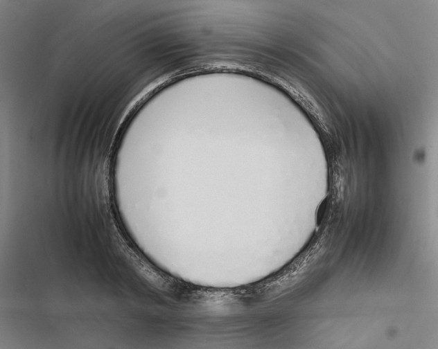 X0000116880798201001191743