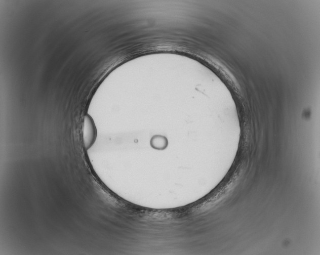 X0000116880801201001191743