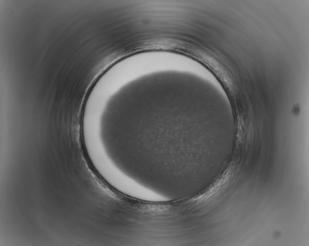 X0000116880802201001191743