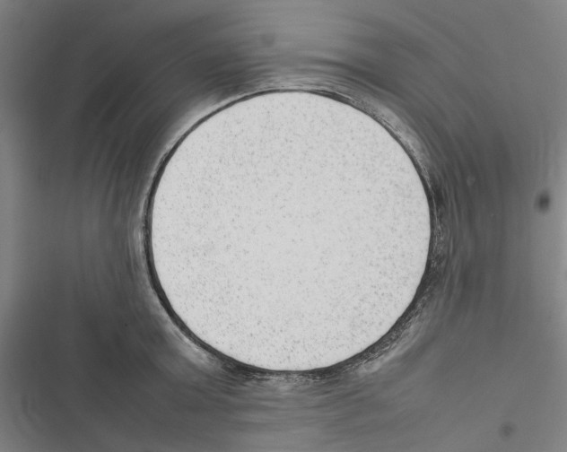 X0000116880803201001191743
